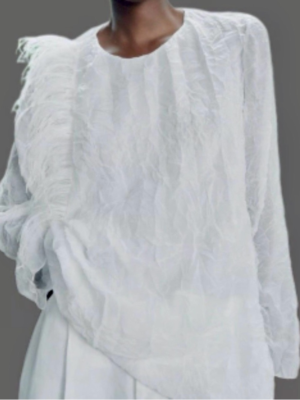 Zara White Feather Detail Blouse Textured Semi Sheer Size L Chic